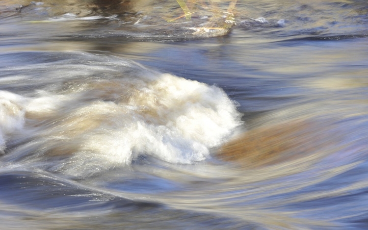 Lakott területeket is veszélyeztetnek az áradó folyók Kárpátalján