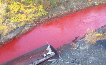 Vérvörössé vált egy észak-oroszországi folyó