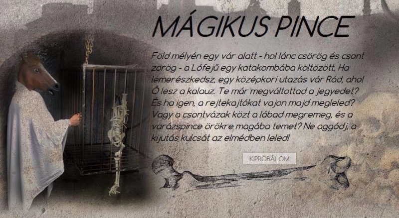 ExitPoint Eger, Mágikus Pince