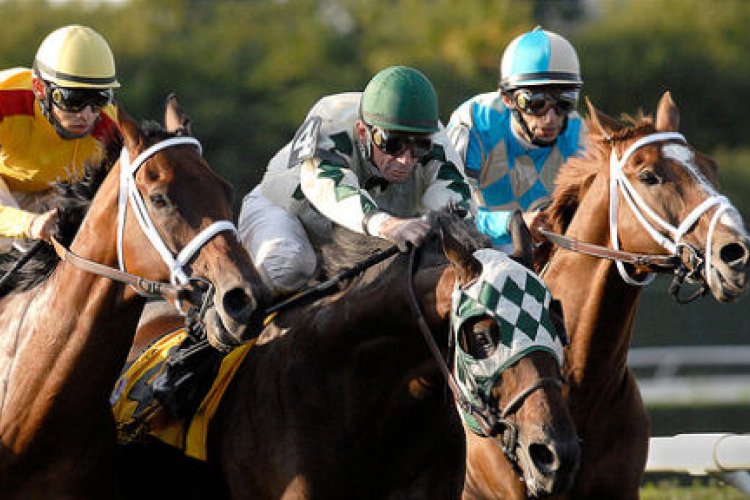 Csak viszi a pénzt a lóverseny