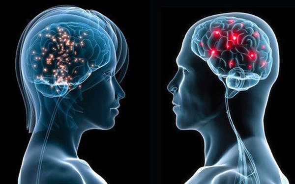 Eddig ismeretlen, alapvető kapcsolatot fedeztek fel az idegsejtek és az agyi immunsejtek között