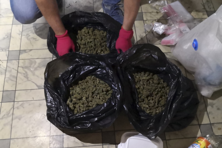 Több mint ötkilónyi marihuánát találtak egy nigériai dílernél Budapesten - VIDEÓ