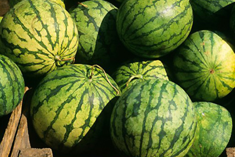 Szeretnék elkerülni az árháborút