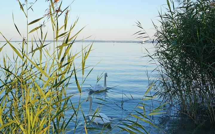 A Balatonba fulladt egy férfi