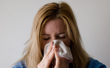 Megjelentek az első allergén növények pollenjei