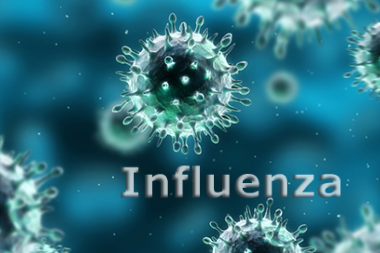 Influenzahelyzet