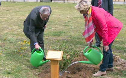 FAÜLTETÉSI PROGRAM INDUL EGERBEN